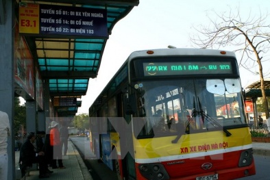 Chính sách phát triển vận tải hành khách công cộng bằng xe buýt