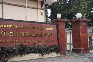 Quảng Ninh: Khởi tố vụ án sai lệch kết quả chất lượng khi bán than 