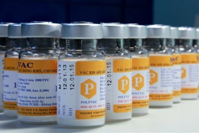 Xem xét tăng giá vắc xin nội