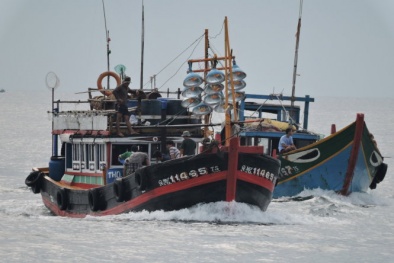 Bị Trung Quốc đuổi, tàu cá Việt Nam gặp nạn mất tích ở Trường Sa