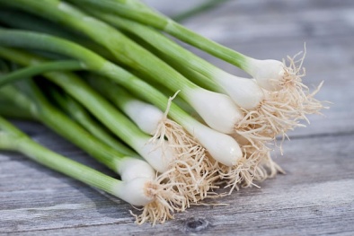 Khám phá 12 công dụng thần kỳ của hành lá