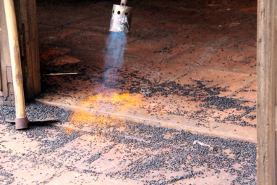  Đồng Nai: Dùng lửa đèn khò 'nướng' bọ đầu đen 