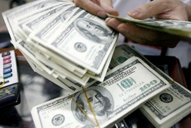 Năm 2015, giá USD sẽ tăng tới đâu?
