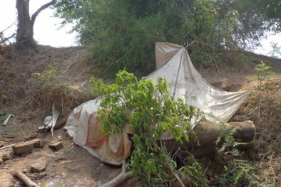 Rớt nước mắt nhìn voi cái Đắk Lắk gục chết sau 2 lần ngã quỵ