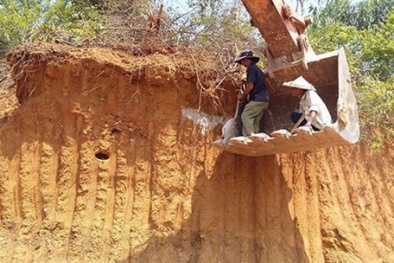 Đà Nẵng: Doanh nghiệp làm mất 400 ngôi mộ hoạt động 'chui'