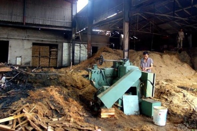 Hà Tĩnh: Xưởng gỗ rộng gần 7000 m2 bốc hỏa vì chập điện