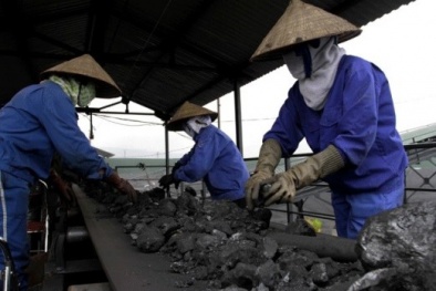 Công ty Tuyển than Hòn Gai: Hiện đại hóa, tự động hóa trong sản xuất