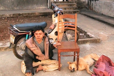 Cử tri nhiều tỉnh bức xúc với nạn trộm chó, Bộ Tư pháp trả lời thế nào?