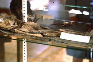 Bằng chứng gây chấn động về người ngoài hành tinh