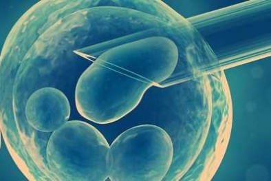 Phương pháp tạo tinh trùng nhân tạo từ tinh trùng 'yếu'