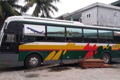 Nghệ AN: Vạch trần thủ đoạn buôn gỗ lậu qua biên giới tinh vi