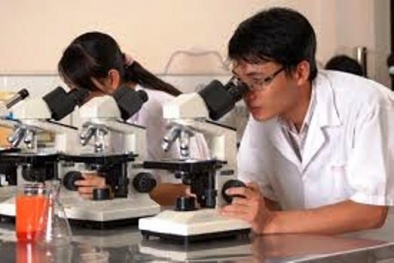 Nhiều đề tài khoa học công nghệ ứng dụng hiệu quả vào thực tiễn