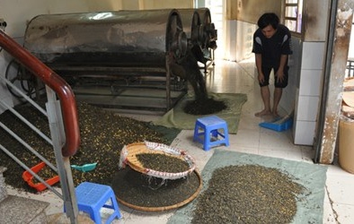 Phát hiện 12 tấn trà đang 'tẩm' hóa chất