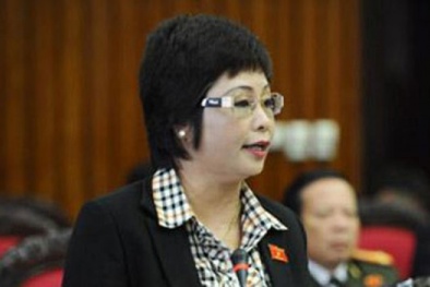 Đề nghị bãi nhiệm tư cách đại biểu Quốc hội đối với bà Châu Thị Thu Nga