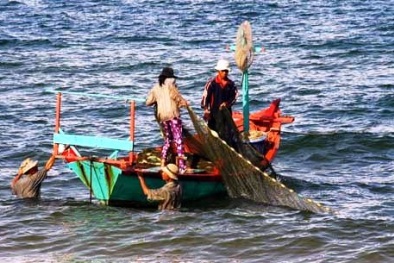 Hội Nghề cá: Quyết định cấm đánh bắt cá của Trung Quốc không có giá trị