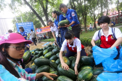 Tái diễn chiêu trò ép giá - thương lái bị 'đánh gục'