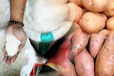 Cục An toàn VSTP trấn an người dân vụ gạo giả