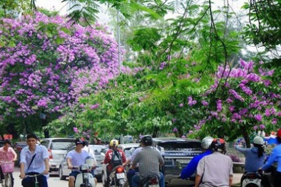 Dự báo thời tiết ngày mai 21/5/2015: Bắc Bộ chấm dứt nắng nóng