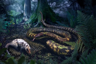 Phát hiện loài rắn cổ đại có khả năng tàng hình 