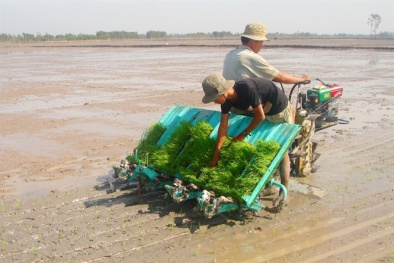 ĐBSCL: Cơ giới hóa nông nghiệp thúc đẩy năng suất nông nghiệp