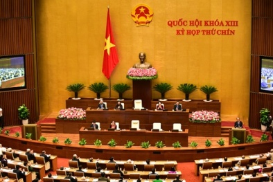 Có nhiều số phiếu không tín nhiệm, cán bộ có thể xin từ chức