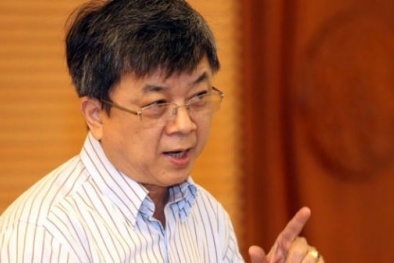 'Không thể để dân gánh chịu án quá tải của tòa'
