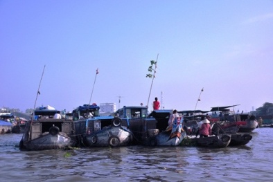 Chợ nổi Cái Răng: Người bán nói với người mua bằng những cây sào