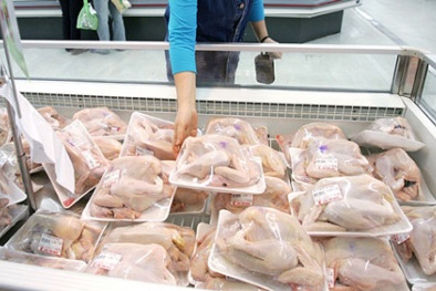 Hơn 70% thịt gà bán tại Anh nhiễm khuẩn gây tiêu chảy