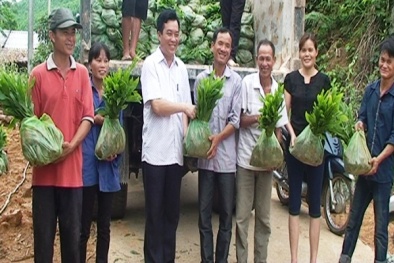 Quảng Ninh: Tặng 100 nghìn cây keo giống cho hộ nghèo ở Ba Chẽ