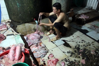 Đồng Nai: Bắt xưởng ướp thịt heo lậu cùng đá và ruồi trên đất bẩn
