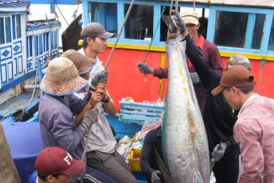 Đề xuất thành lập Bộ kinh tế biển