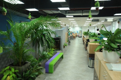 Không gian văn phòng xanh giúp tăng năng suất lao động