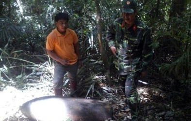 Xử lý quả bom ‘khủng’ nặng 340kg tại Vườn quốc gia