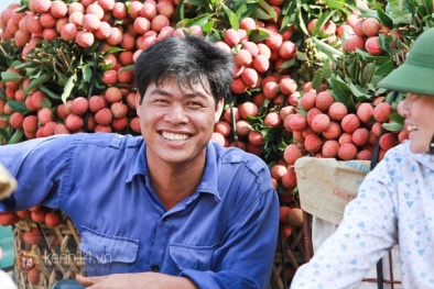 Xuất sang Mỹ, Úc, quả vải có còn bị lệ thuộc vào thị trườngTrung Quốc?