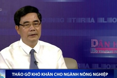 Ứng dụng khoa học kỹ thuật, nâng cao cạnh tranh cho nông sản