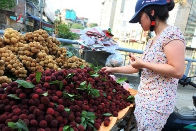 Sự thật  bất ngờ về nguồn gốc quả thanh mai