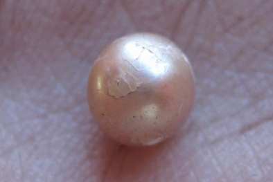 Khai quật viên ngọc trai quý hiếm 2.000 năm tuổi ở Australia