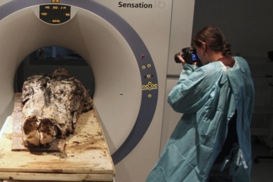 Xác định danh tính thi thể nữ quý tộc được chôn cùng tim chồng