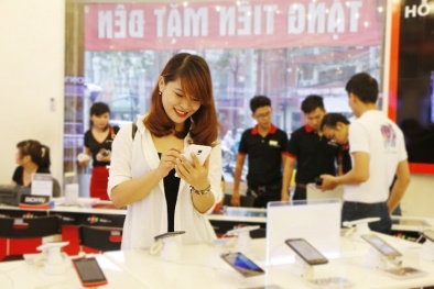  iPhone 6 và iPhone 6 Plus vẫn thống lĩnh thị trường smartphone