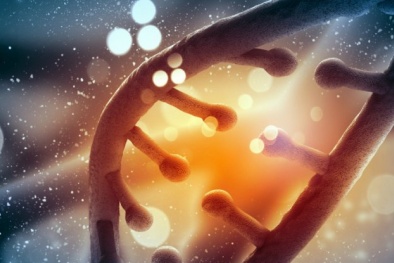 ADN đời bố mẹ xấu khiến con cái nhiều bệnh tật