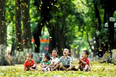 Dự báo thời tiết ngày mai 8/6/2015: Thời tiết mát mẻ, nhiệt độ giảm mạnh 