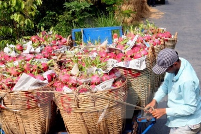 Hàng nông, thủy sản Việt Nam đã có những đối thủ cạnh tranh