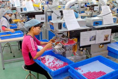 Hàn Quốc đề nghị được sa thải lao động Việt Nam khai man năng lực