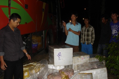 Phát hiện gần tấn nội tạng thối đang vận chuyển ra Hà Nội