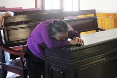 Tin tức pháp luật mới nhất 24h hôm nay ngày 9/6