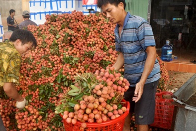 ‘Trung Quốc thu mua nông sản để xuất khẩu ngược là điều nguy hiểm’
