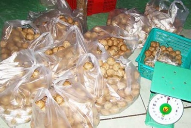 TP.HCM: Vạch trần công nghệ sản xuất 'bò viên' hủ tiếu bẩn 