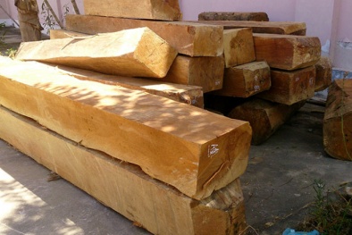 Tin tức pháp luật mới nhất hôm nay ngày 11/6