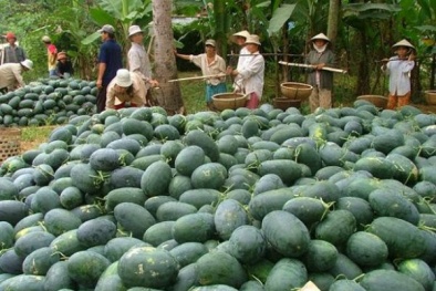 Bộ trưởng Công Thương bị 'đòi nợ'