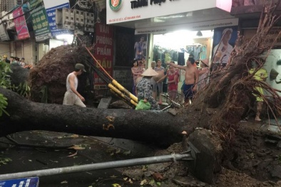 Hà Nội: Cây xanh ngã gục, phố phường ngổn ngang sau mưa giông
